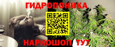 ГАЛЛЮЦИНОГЕННЫЕ ГРИБЫ Кинель